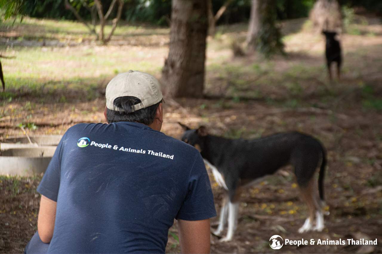 One of our dog catchers saying hi to a sweet dog